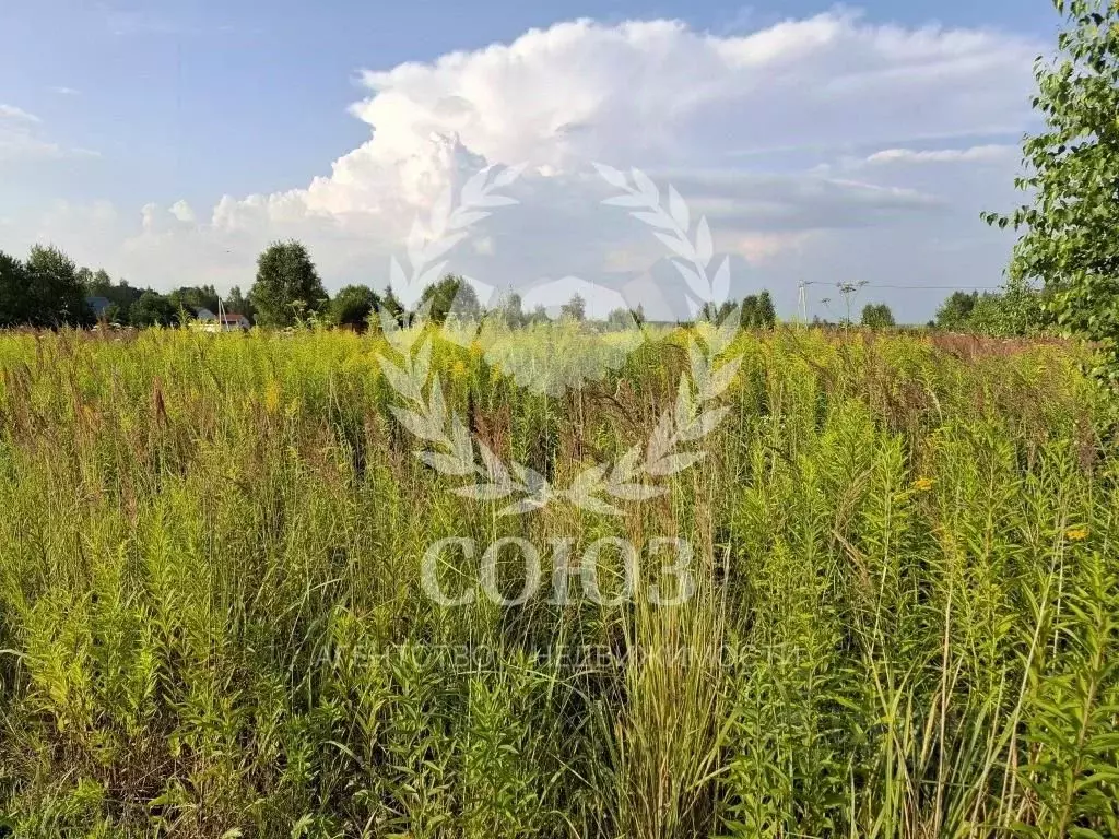 Участок в Калужская область, Перемышльский район, Большие Козлы с/пос, ... - Фото 2