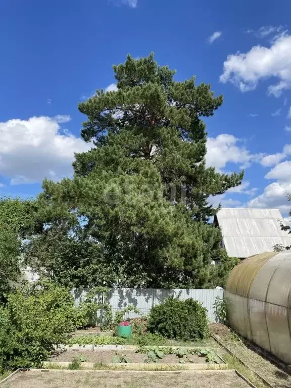 Дом в Тюменская область, Тюмень СНТСН Суходольное тер., ул. Сиреневая ... - Фото 1