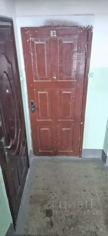 1-к кв. Ленинградская область, Волосовский район, д. Бегуницы 21 (35.0 ... - Фото 1