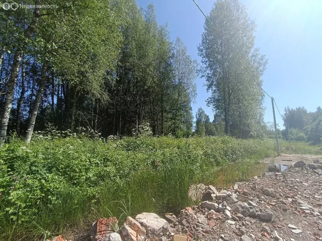 Участок в Савинское сельское поселение, деревня Бараниха (16 м) - Фото 1