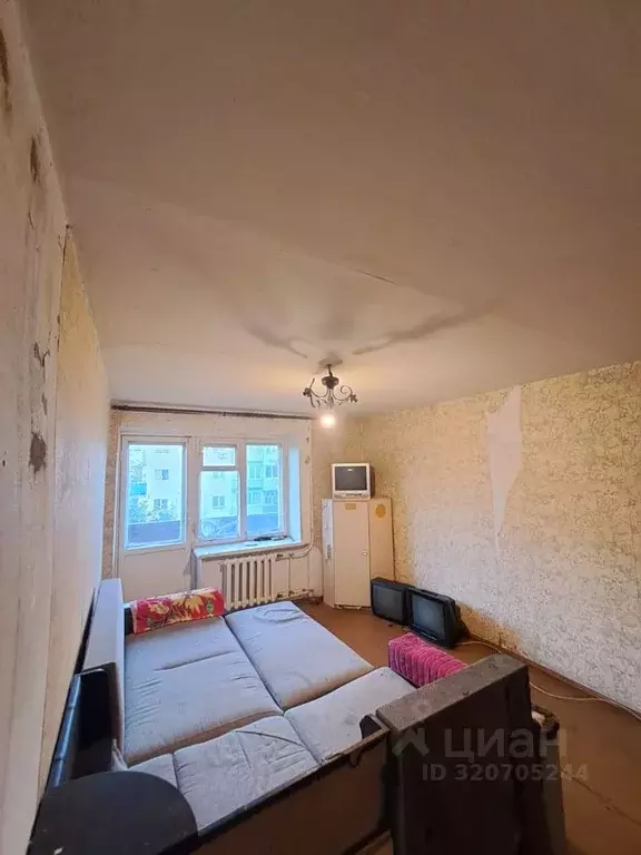 1-к кв. Курганская область, Курган ул. Черняховского, 16 (32.2 м) - Фото 0