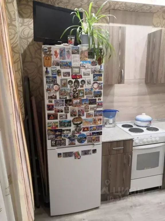 1-к кв. Ивановская область, Кохма ул. Октябрьская, 20А (37.8 м) - Фото 2