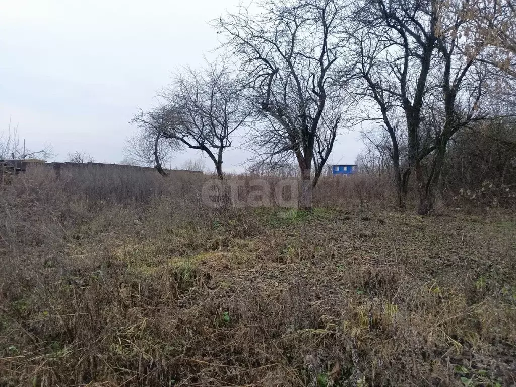 Участок в Тульская область, Болохово Киреевский район, пос. Южный,  ... - Фото 1