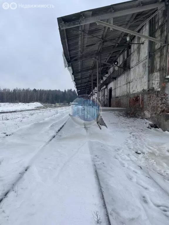 Помещение свободного назначения (200 м) - Фото 1