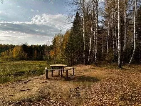 Помещение свободного назначения в Свердловская область, Березовский ... - Фото 0