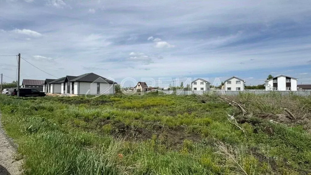 Участок в Тюменская область, Тюмень Царево садовое товарищество, ул. ... - Фото 1