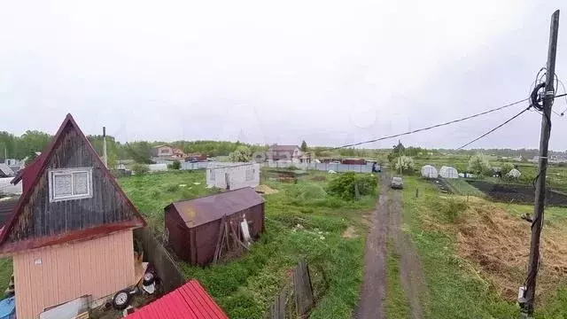 Участок 8 сот. (СНТ, ДНП) - Фото 1