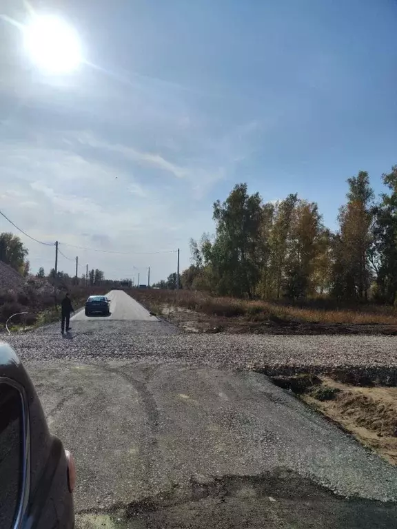 Участок в Алтайский край, Первомайский район, Березовый Мыс кп ул. ... - Фото 2