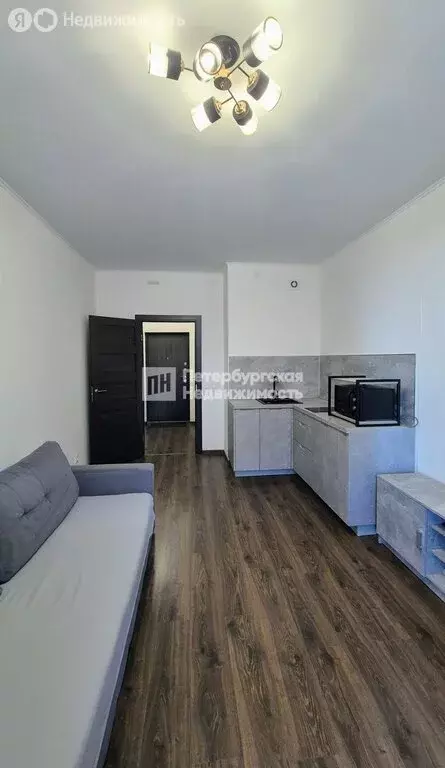 Квартира-студия: Санкт-Петербург, Арцеуловская аллея, 21 (24.6 м) - Фото 1