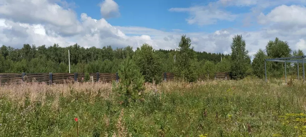 Участок в Челябинская область, Сосновский муниципальный округ, Ясное ... - Фото 2