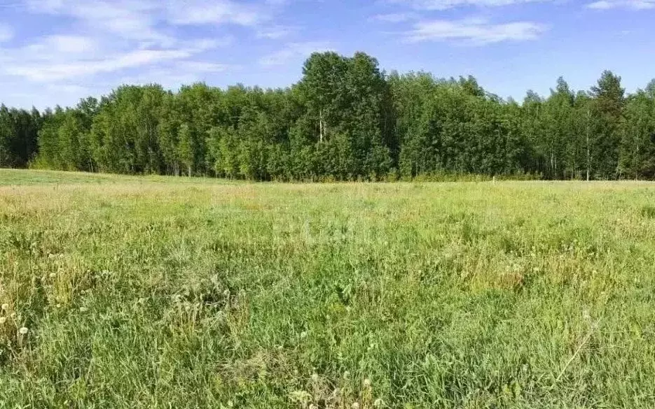 Участок в Татарстан, Арский район, Урнякское с/пос, с. Казанбаш ул. ... - Фото 1