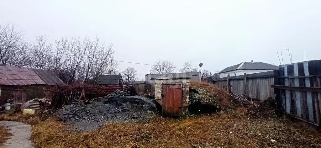 Дом в Белгородская область, Волоконовский район, с. Староивановка ул. ... - Фото 1