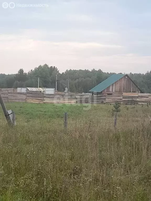 Участок в Зоркальцевское сельское поселение, деревня Берёзкино (9.9 м) - Фото 1