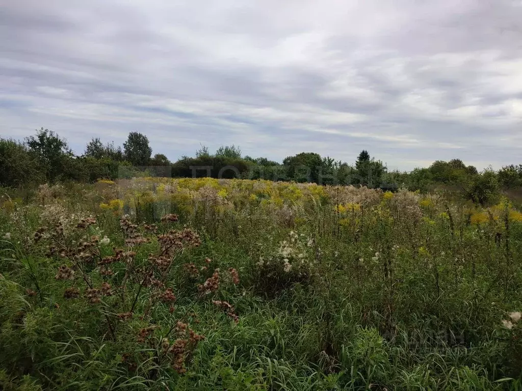 Участок в Новгородская область, Новгородский район, Бронницкое с/пос, ... - Фото 1