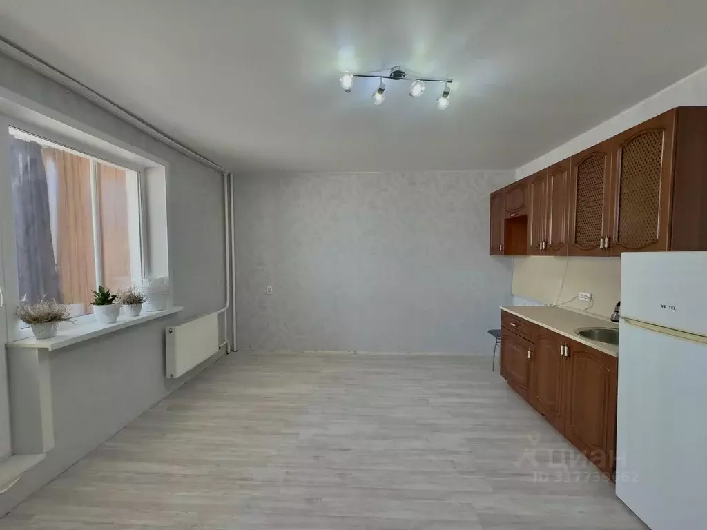 Студия Курганская область, Курган ул. 2-я Часовая, 54А (24.4 м) - Фото 1