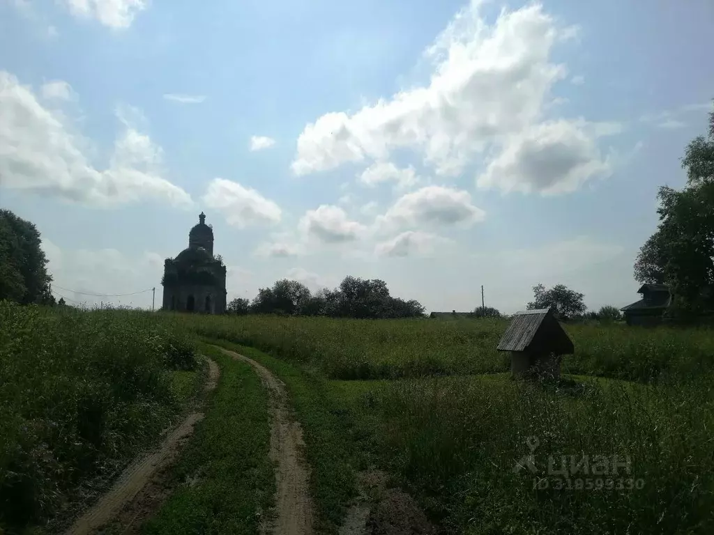 Участок в Ярославская область, Переславль-Залесский муниципальный ... - Фото 1