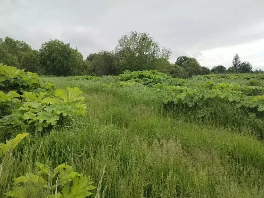 Участок в Ленинградская область, Тосненское городское поселение, д. ... - Фото 2