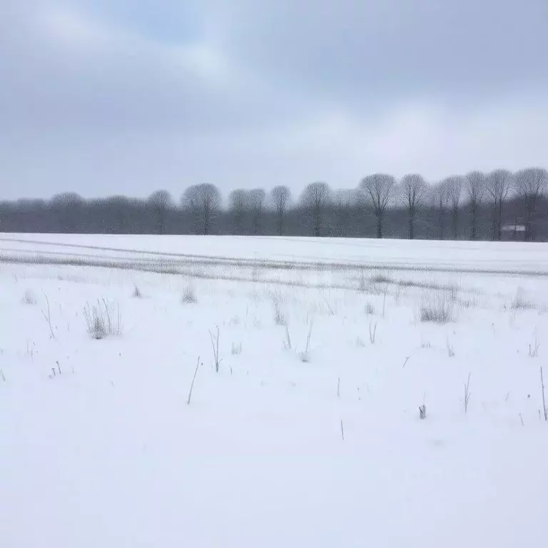 Участок в Тульская область, Щекинский район, Лазаревское с/пос, пос. ... - Фото 1