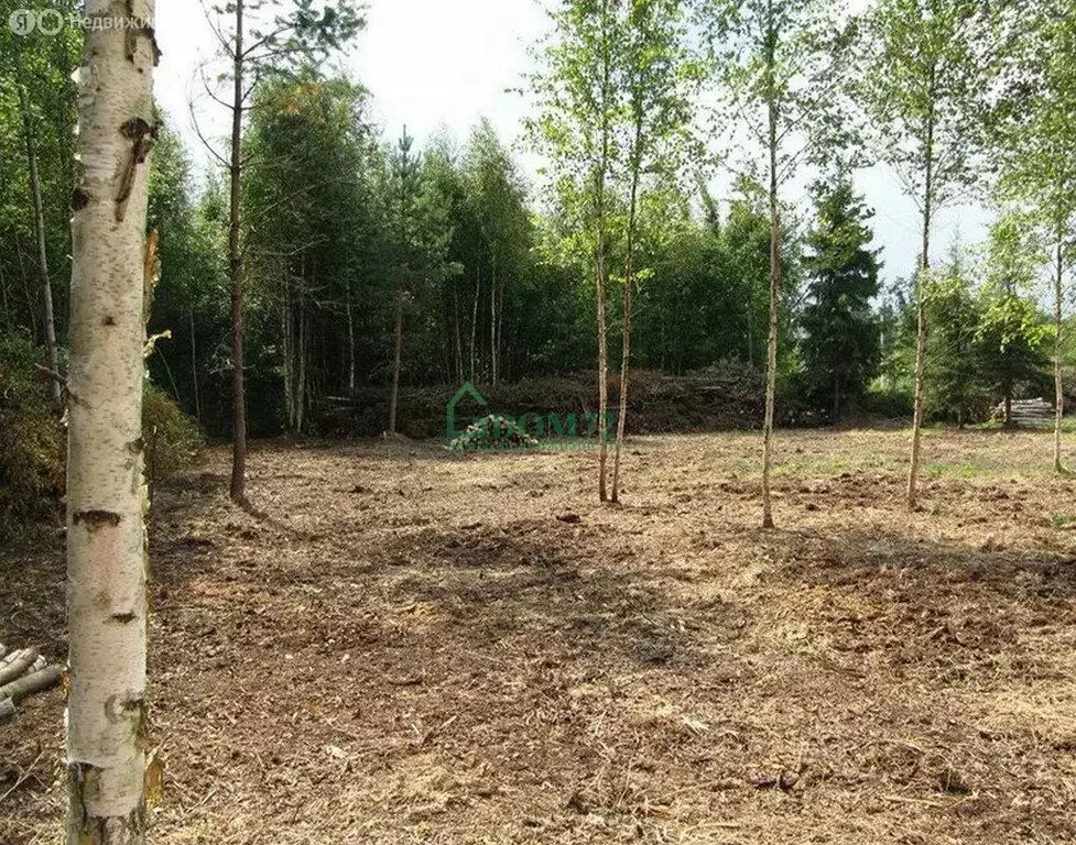 Участок в Тобольск, микрорайон Усадьба, 39 (10 м) - Фото 1