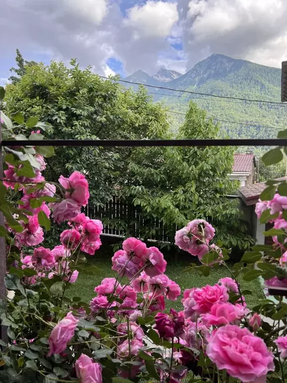 Дом в Краснодарский край, Сочи Красная Поляна пгт,  (150 м) - Фото 2