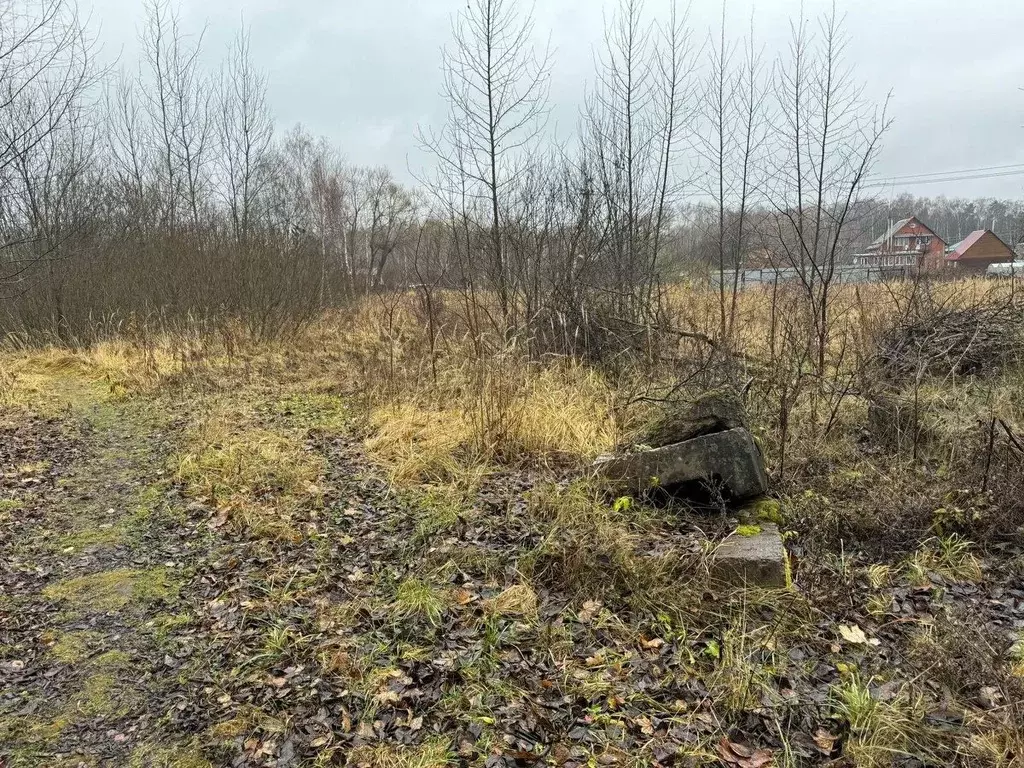 Участок в Московская область, Богородский городской округ, д. ... - Фото 0