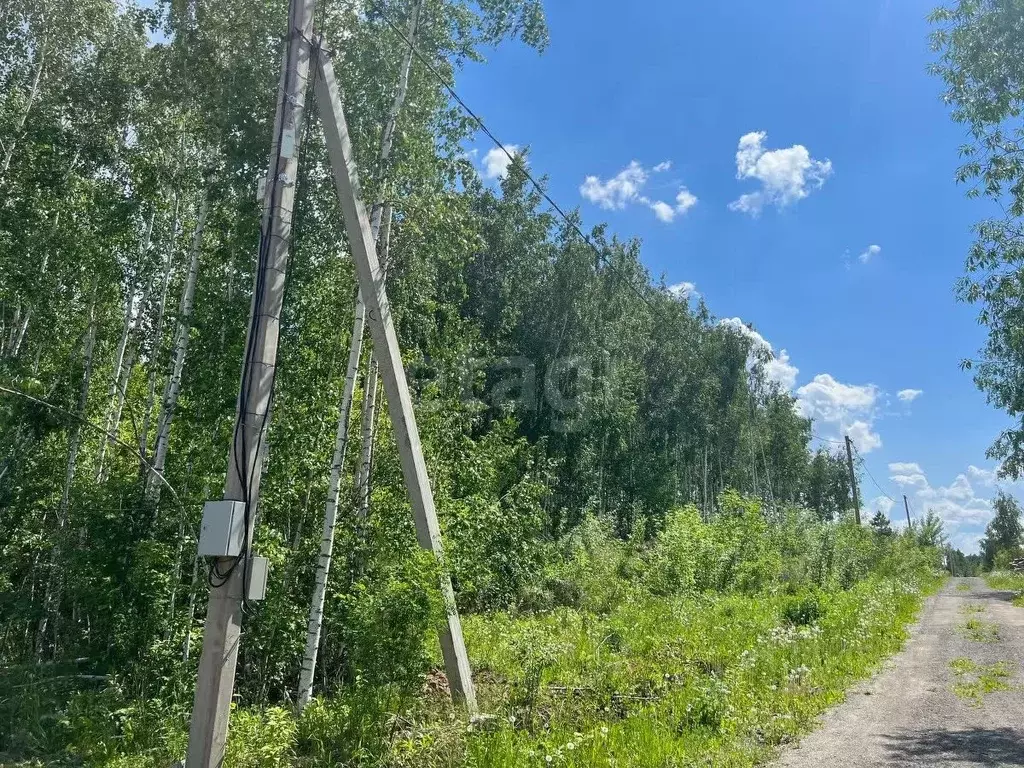 Участок в Новосибирская область, Искитимский район, Мичуринский ... - Фото 1