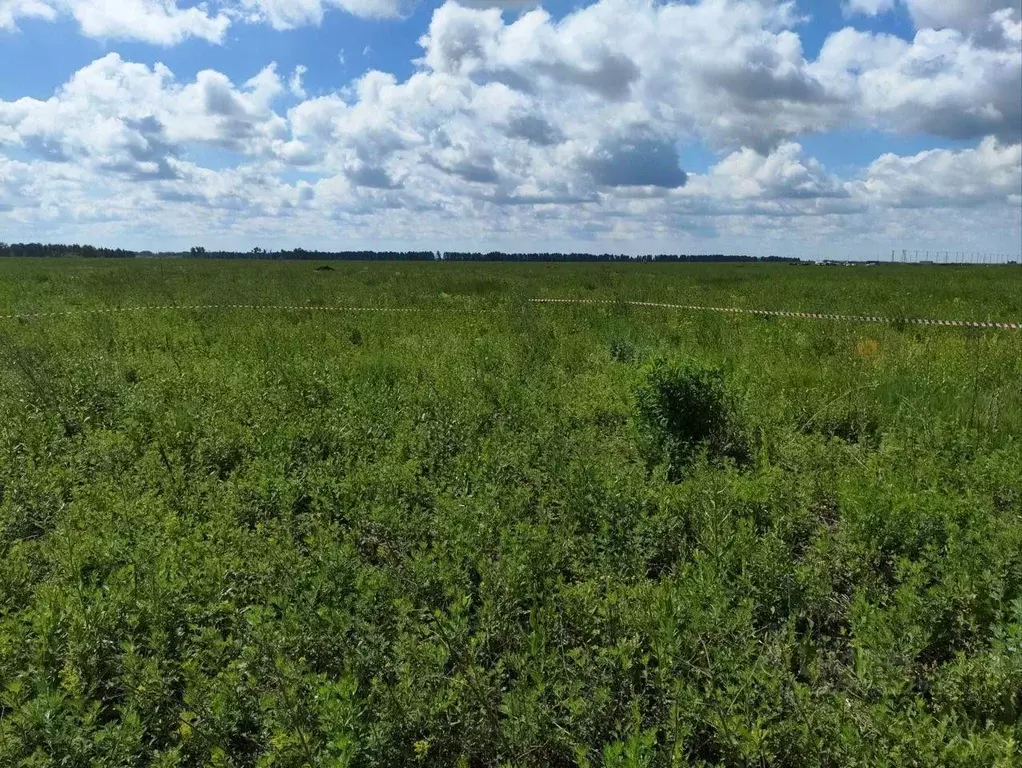 Участок в Тамбовская область, Тамбовский муниципальный округ, с. ... - Фото 2