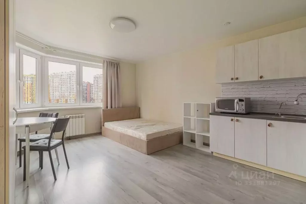 Студия Санкт-Петербург просп. Королева, 64к1 (28.2 м) - Фото 0
