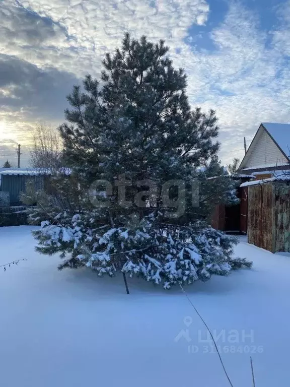 Дом в Тюменская область, Тюменский район, Рассвет СНТ ул. Вишневая (30 ... - Фото 0