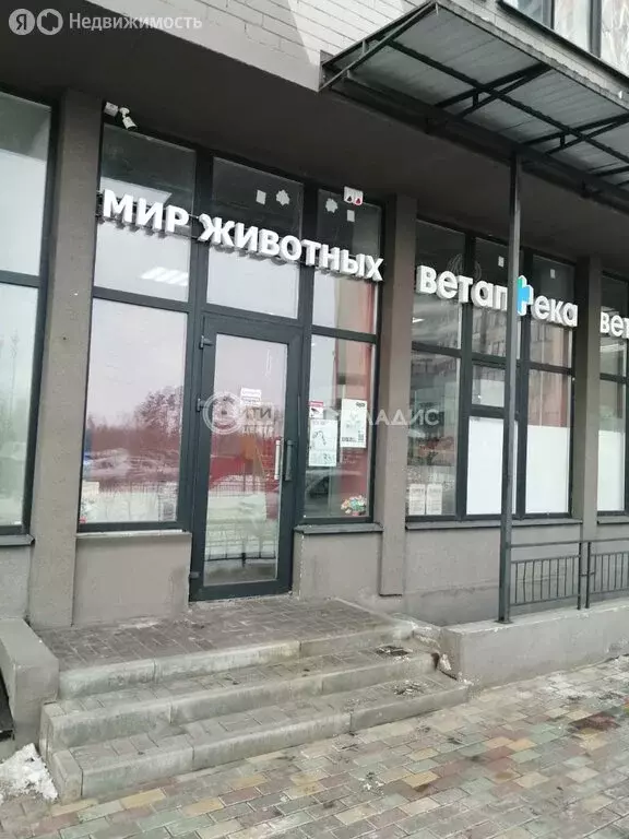 Офис (53.43 м) - Фото 1