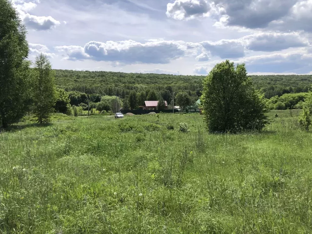 Участок в Саратовская область, Базарно-Карабулакский район, ... - Фото 1