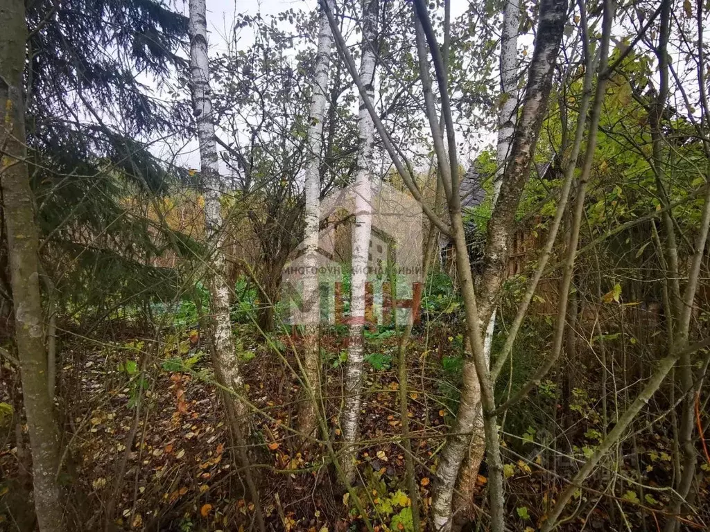 Участок в Тверская область, Конаковский муниципальный округ, Заречье ... - Фото 1