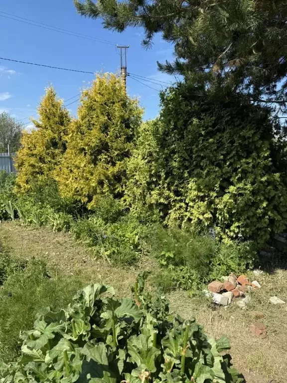 Дом в Марий Эл, Йошкар-Ола Коммунальник СНТ, 10/34 (40 м) - Фото 1