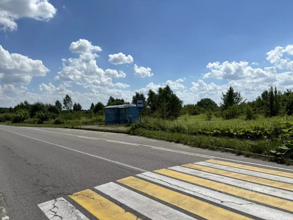 Участок в Калининградская область, Зеленоградский муниципальный округ, ... - Фото 2