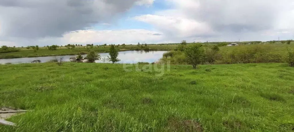 Участок в Воронежская область, Рамонский район, с. Русская Гвоздевка  ... - Фото 1