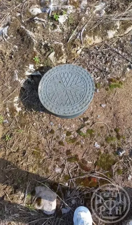 Участок в Ленинградская область, Лужский район, Заклинское с/пос, д. ... - Фото 1