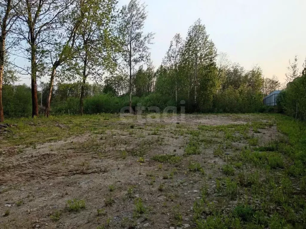 Участок в Вологодская область, Череповец 36-й мкр,  (8.0 сот.) - Фото 0