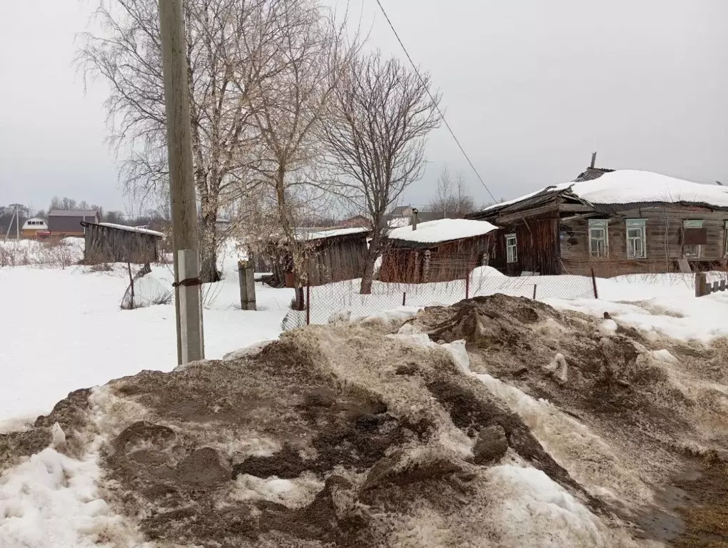 Участок в Пермский край, Пермский муниципальный округ, с. Платошино ... - Фото 2