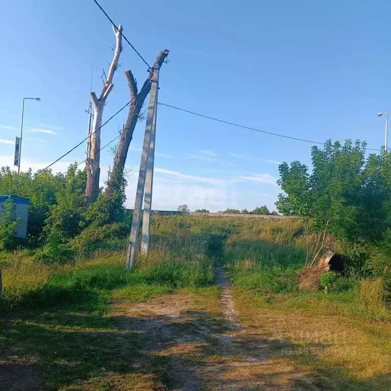 Участок в Белгородская область, Чернянка рп пер. Свердлова (10.0 сот.) - Фото 2