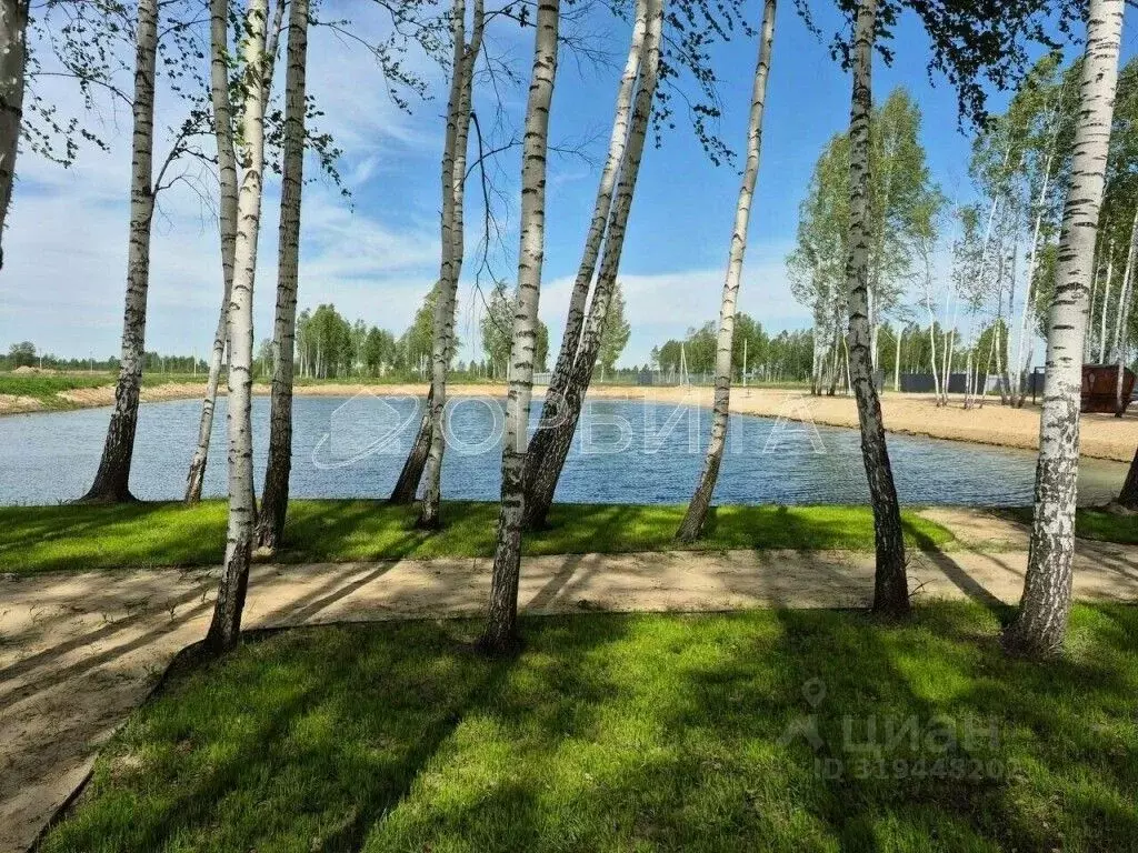 Участок в Тюменская область, Нижнетавдинский район, Строитель ТСН ул. ... - Фото 1