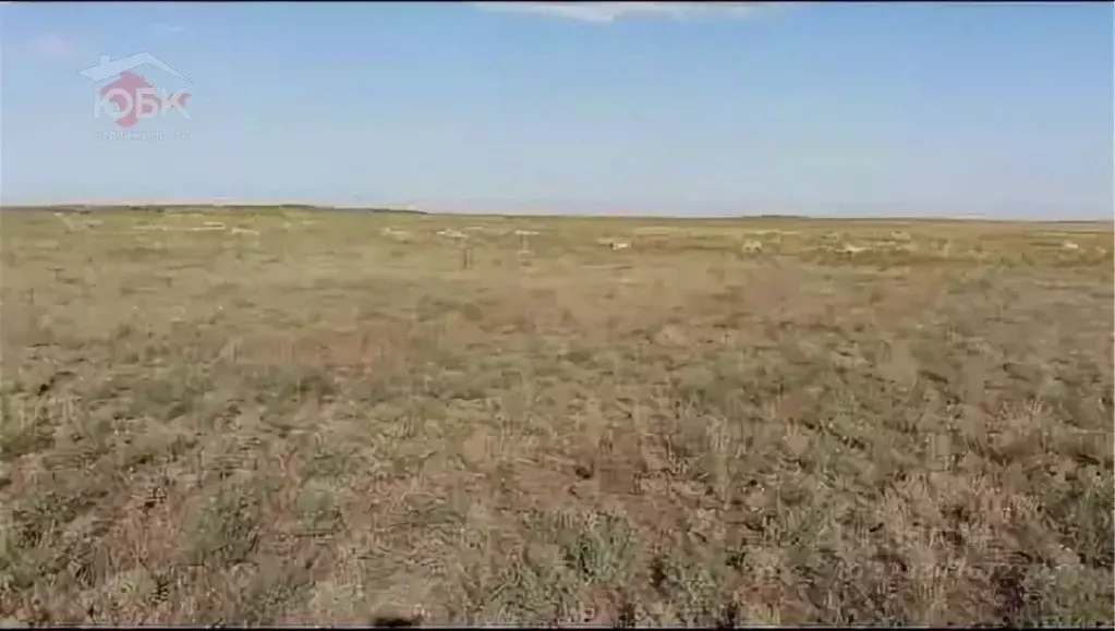 Участок в Крым, Евпатория городской округ, Новоозерное пгт пл. ... - Фото 2