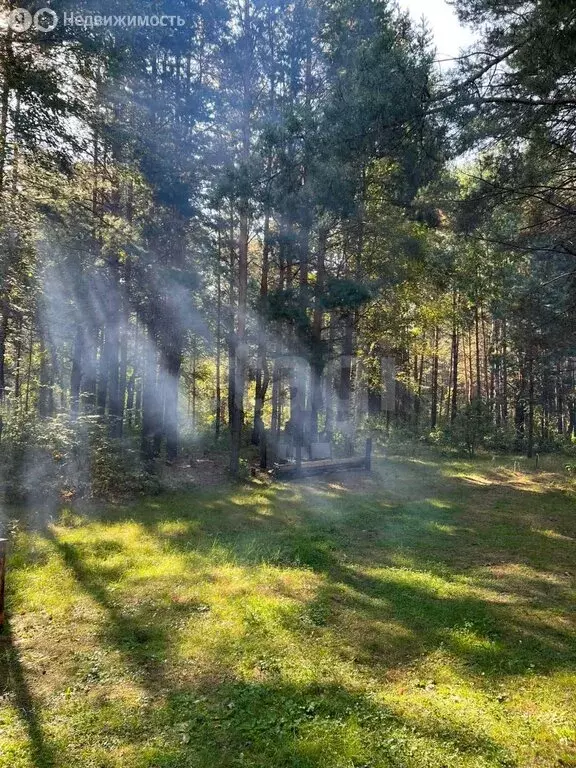 Участок в Бессоновский район, посёлок Подлесный, КП Лесное озеро (8.58 ... - Фото 2