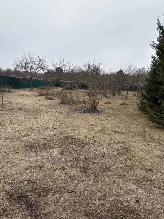 Участок в Нижегородская область, Богородский муниципальный округ, д. ... - Фото 2