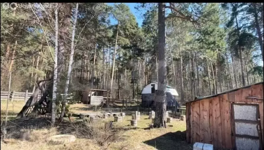 Дом в Усть-Мунинское сельское поселение, посёлок Барангол, Луговая ... - Фото 2