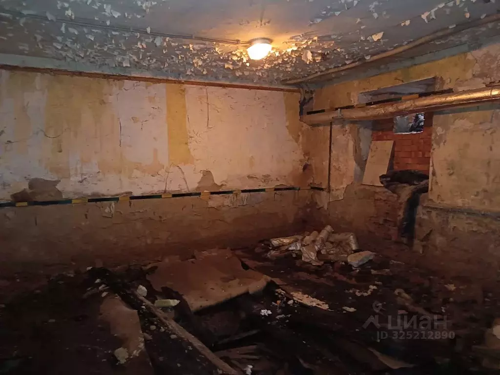 Помещение свободного назначения в Курганская область, Курган ул. Коли ... - Фото 1