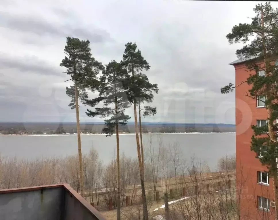 4-к кв. Пермский край, Пермь Кировоградская ул., 48 (191.0 м) - Фото 2