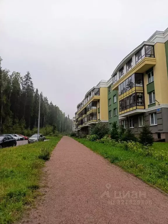 Студия Ленинградская область, Сертолово Всеволожский район, ул. ... - Фото 1