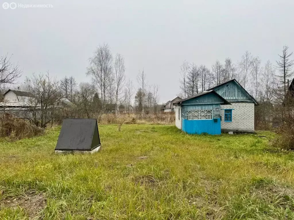 Дом в Нетьинское сельское поселение, СДТ Берёзовая Роща (33.1 м) - Фото 1