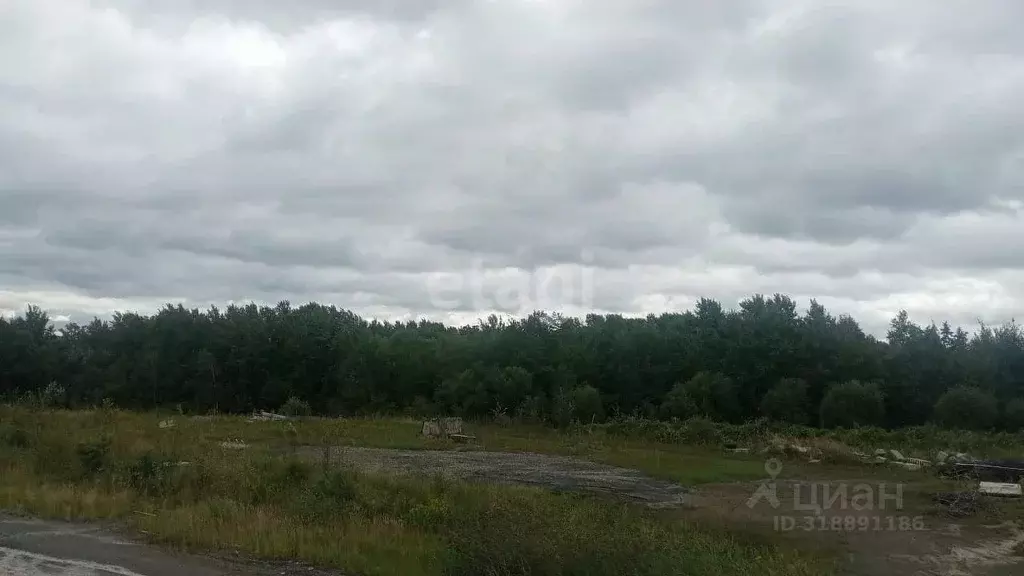 Участок в Хабаровский край, Хабаровский район, с. Краснореченское  ... - Фото 0