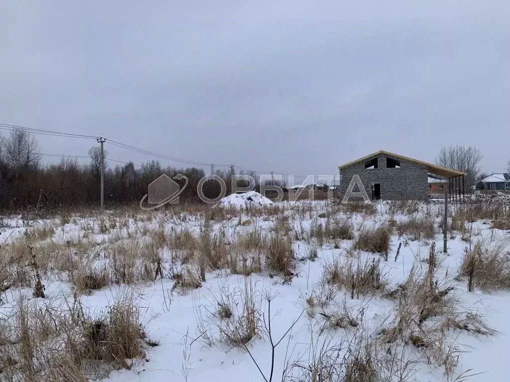 Участок в Тюменская область, Тюменский муниципальный округ, с. ... - Фото 2